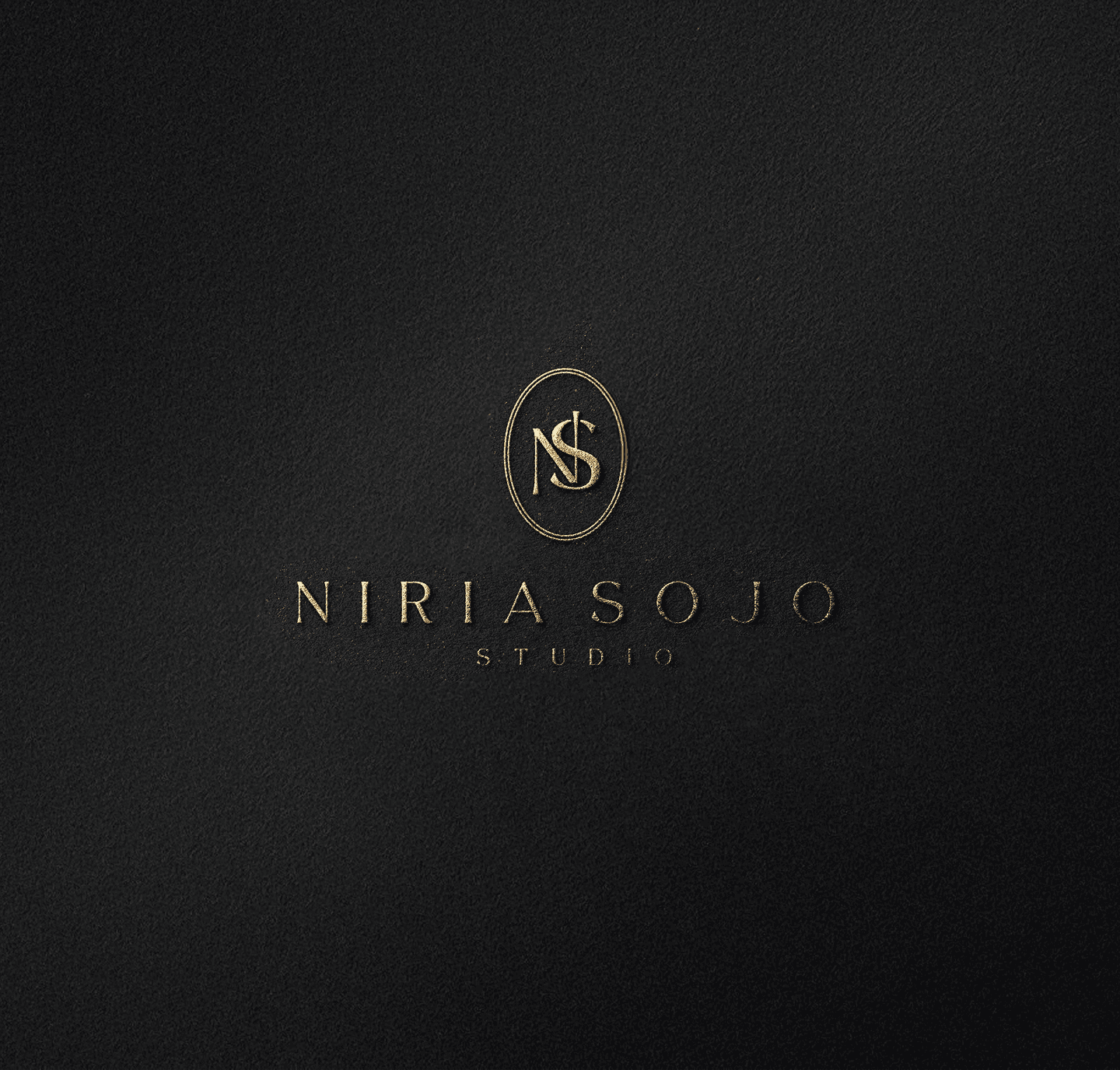 Niria logo con fondo oscuro